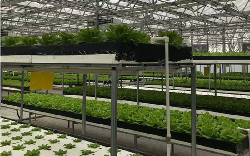 FH至尊·(中国)有限公司官网